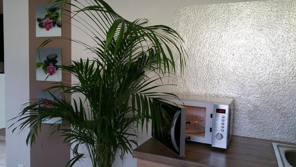 Ferienwohnung Schusi Freital Exteriör bild